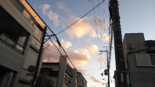 f:id:dorateahouse:20200131201645j:image f:id:dorateahouse:20200131201645j:image