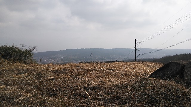 f:id:dorateahouse:20200203222229j:image f:id:dorateahouse:20200203222229j:image