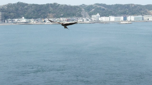 f:id:dorateahouse:20200204132054j:image f:id:dorateahouse:20200204132054j:image