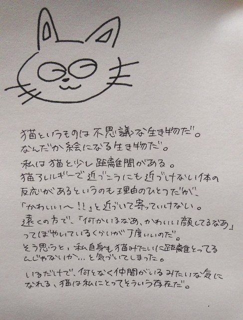 f:id:dorateahouse:20200218201838j:image