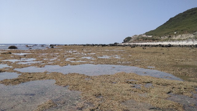 f:id:dorateahouse:20200409003019j:image