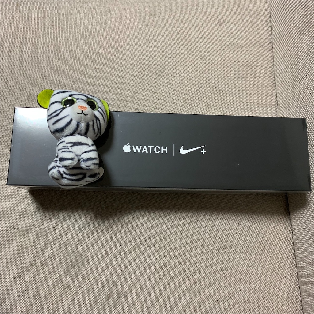 f:id:dorathemute:20190119180416j:image f:id:dorathemute:20190119180416j:image