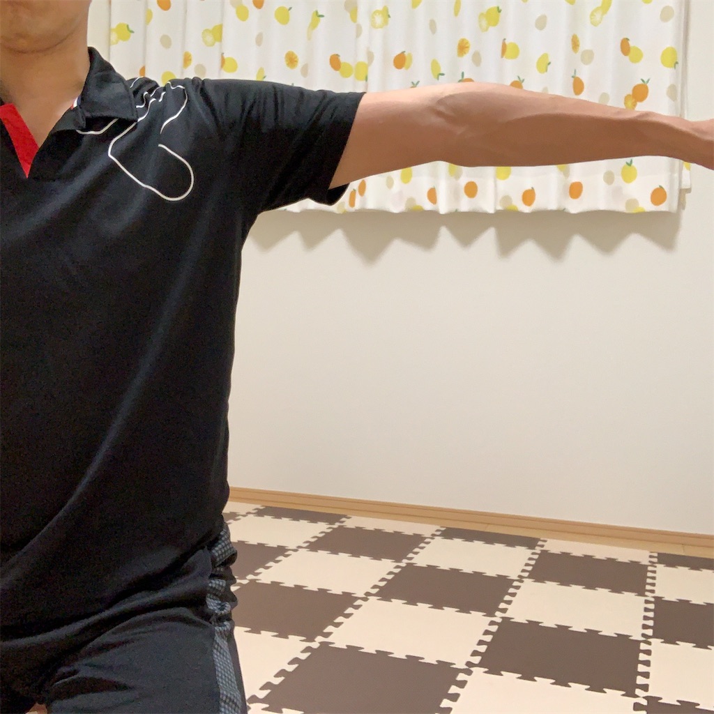 f:id:dorathemute:20191027223351j:image f:id:dorathemute:20191027223351j:image