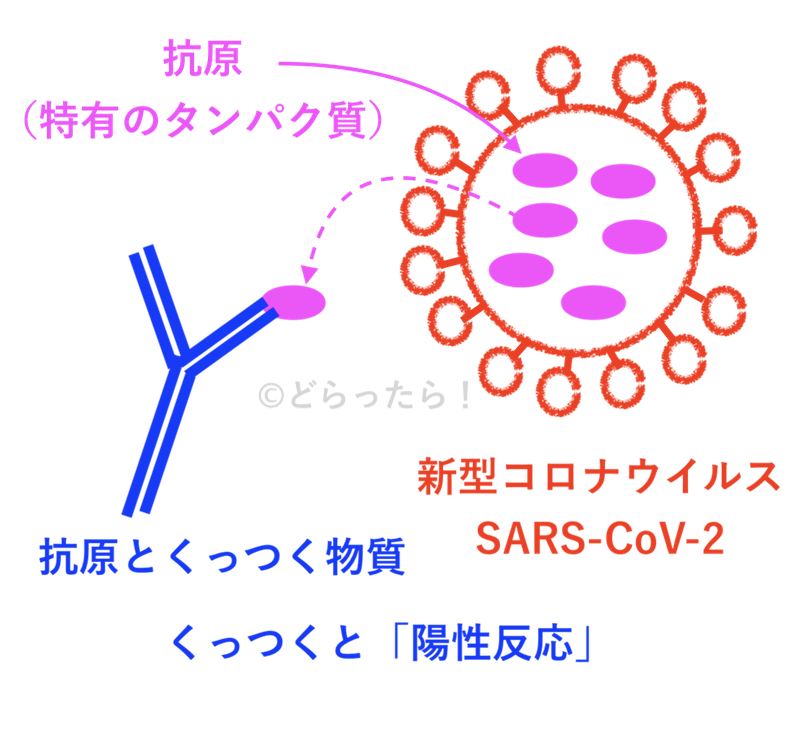 f:id:dorattara:20200521012419p:plain f:id:dorattara:20200521012419p:plain