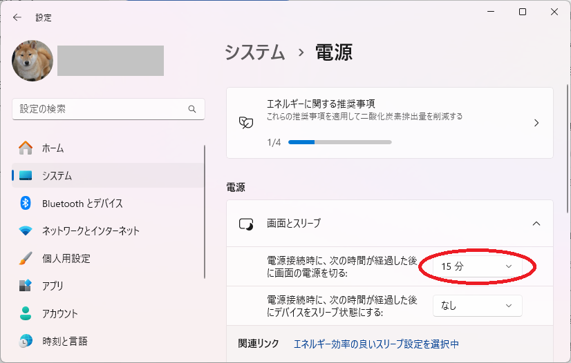 設定 > システム > 電源