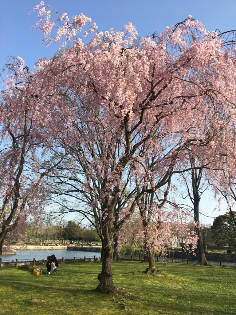 f:id:doremifagott:20180402210154j:plain f:id:doremifagott:20180402210154j:plain