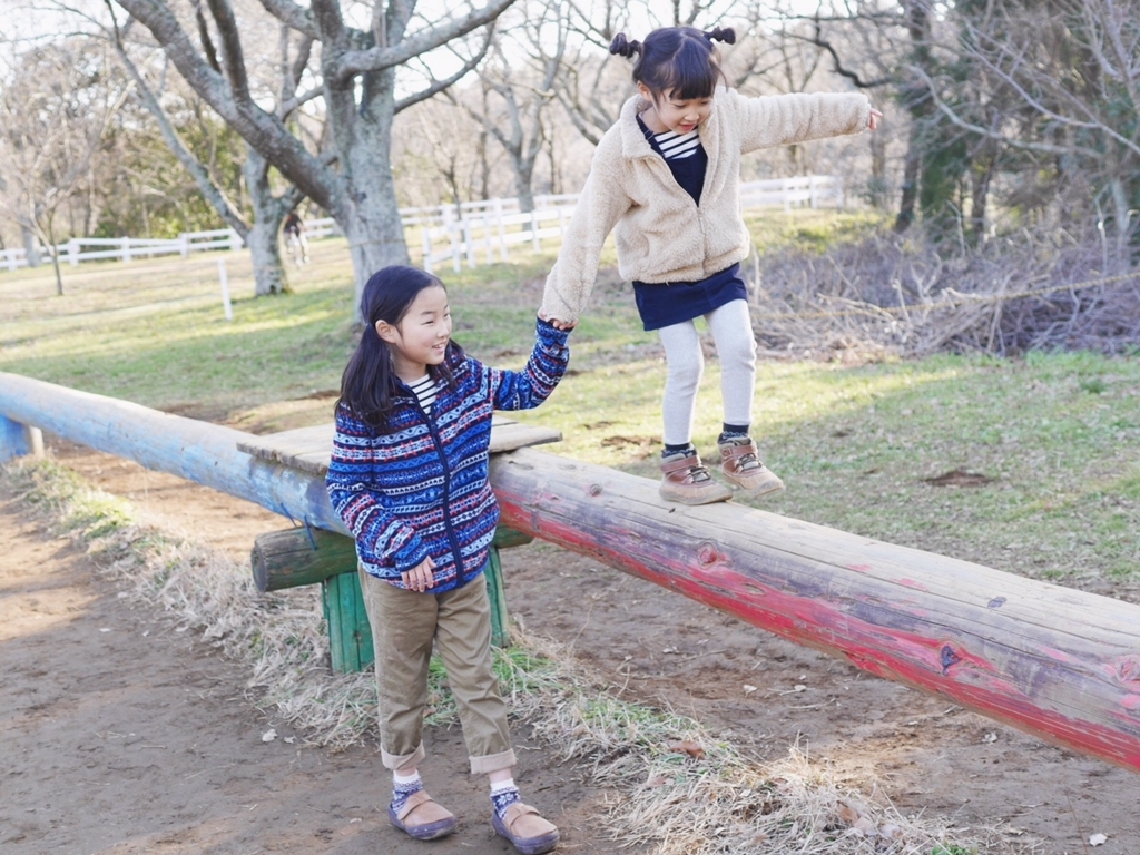 f:id:doremming:20180110092519j:plain