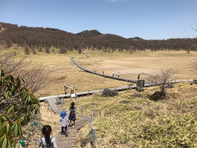 f:id:doremming:20180501130003j:plain