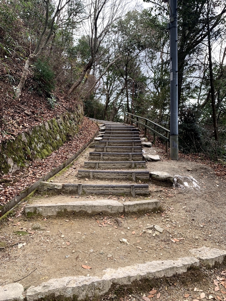 f:id:doreshous0201:20190128211447j:plain