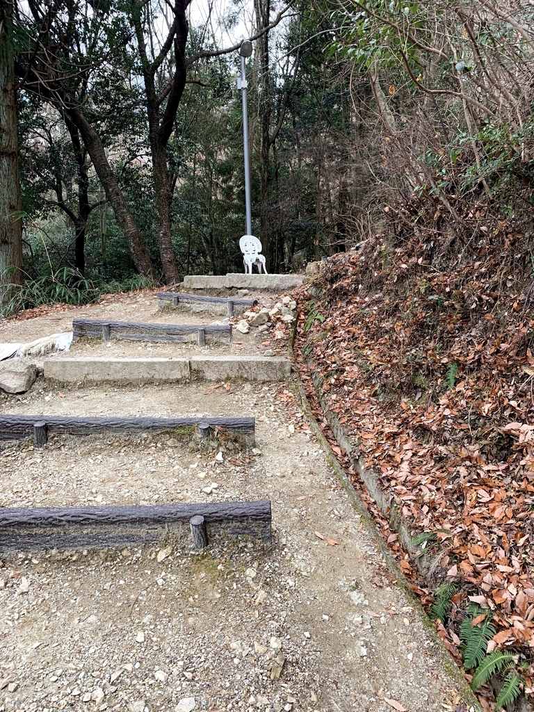 f:id:doreshous0201:20190128211607j:plain