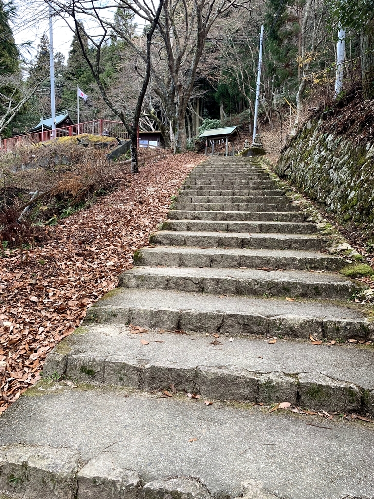 f:id:doreshous0201:20190128211613j:plain