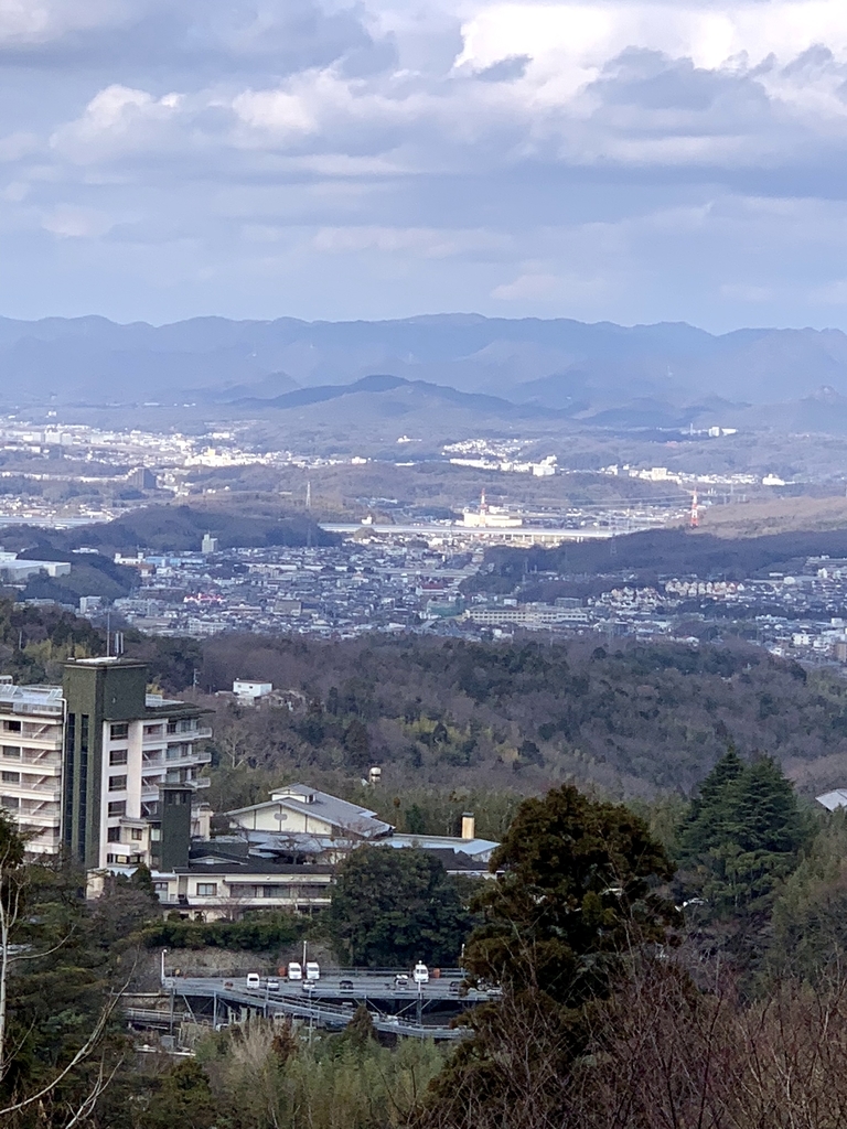 f:id:doreshous0201:20190128211838j:plain