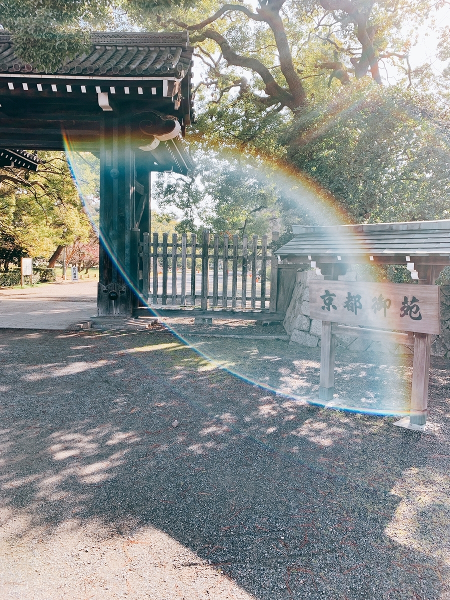 f:id:doreshous0201:20190410000223j:plain