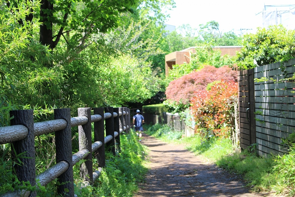 緑道 - 透明で不可能性