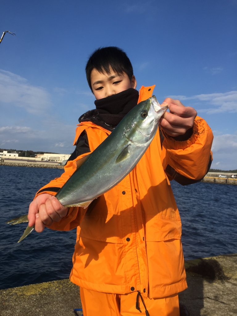 f:id:doriashi19:20170107162031j:plain