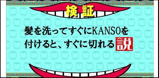 f:id:dorieru36:20190210232858j:plain