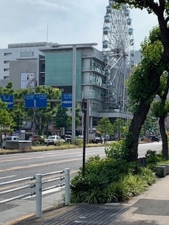 f:id:dorifamu:20190602155251j:plain f:id:dorifamu:20190602155251j:plain