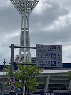 f:id:dorifamu:20190611210513j:plain