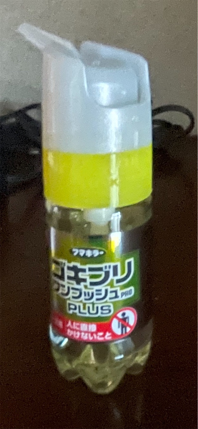 f:id:dorifamu:20210819161512j:image