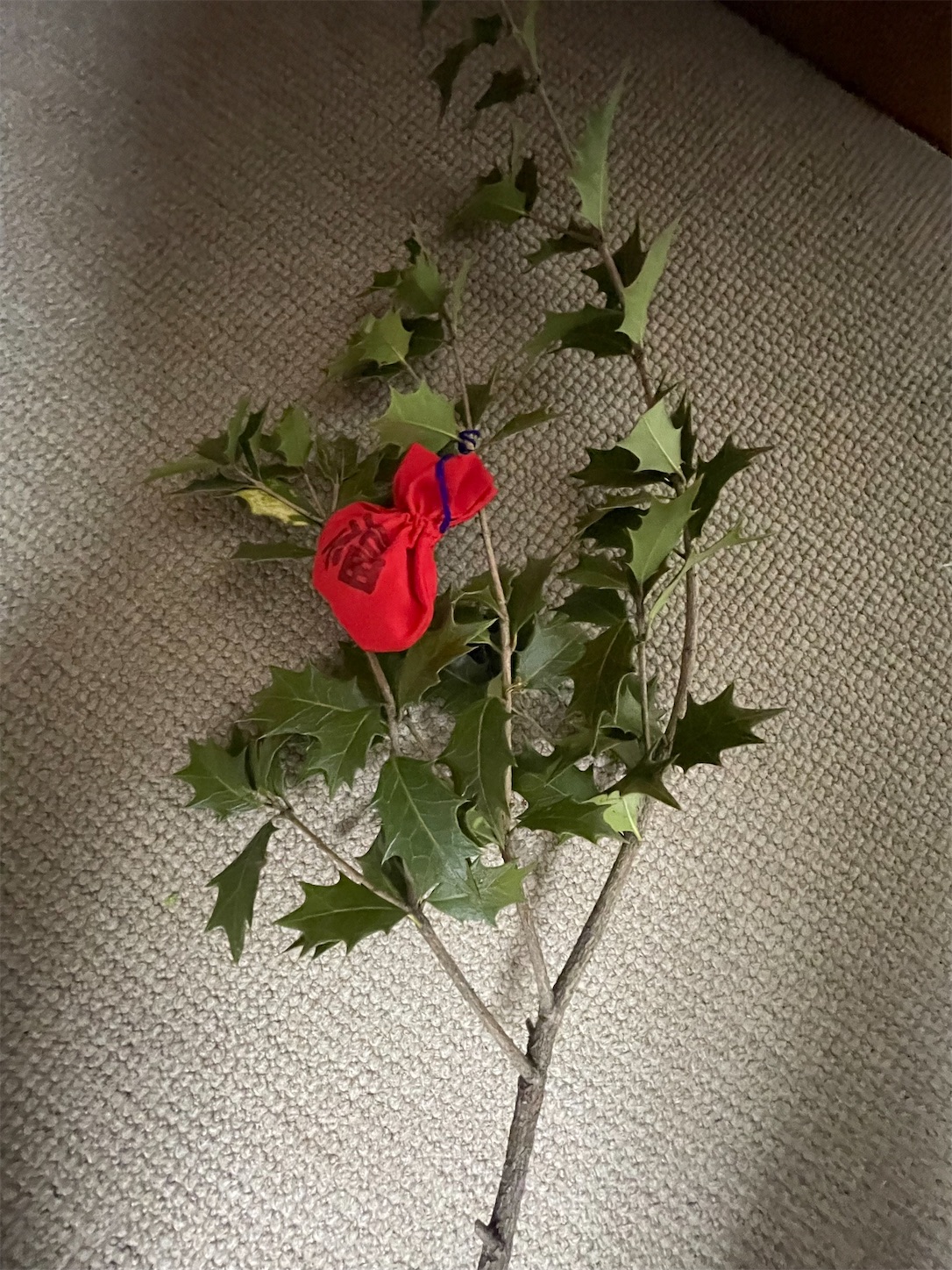 f:id:dorifamu:20220203084209j:image f:id:dorifamu:20220203084209j:image