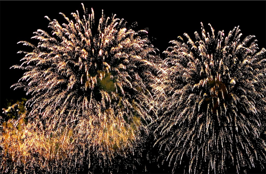 f:id:dorifuto-naoki:20220829204122j:image f:id:dorifuto-naoki:20220829204122j:image