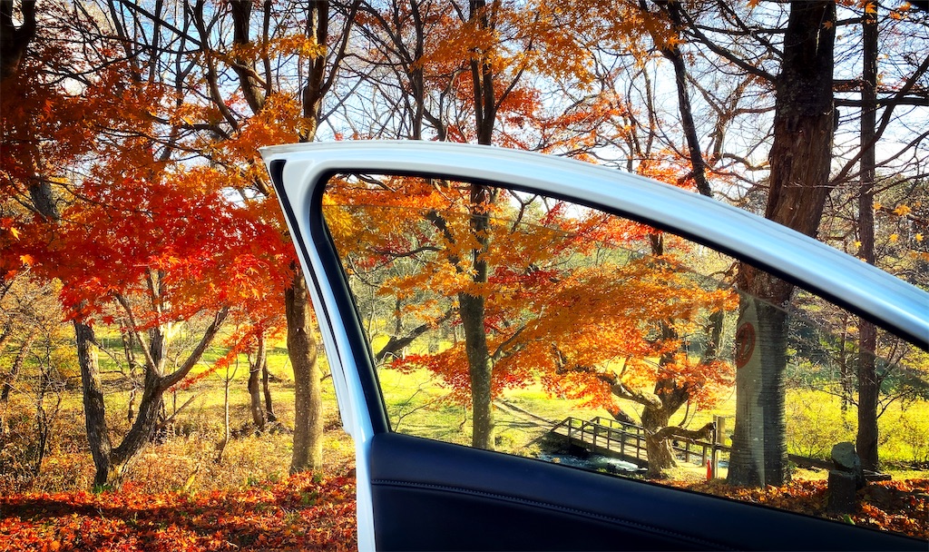 f:id:dorifuto-naoki:20221213234729j:image f:id:dorifuto-naoki:20221213234729j:image