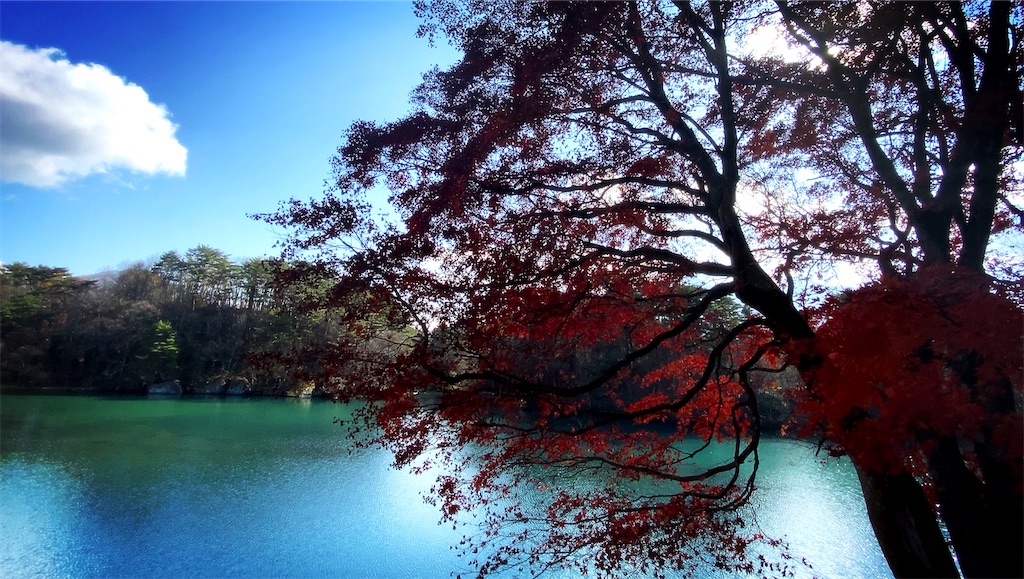 f:id:dorifuto-naoki:20221213234740j:image f:id:dorifuto-naoki:20221213234740j:image