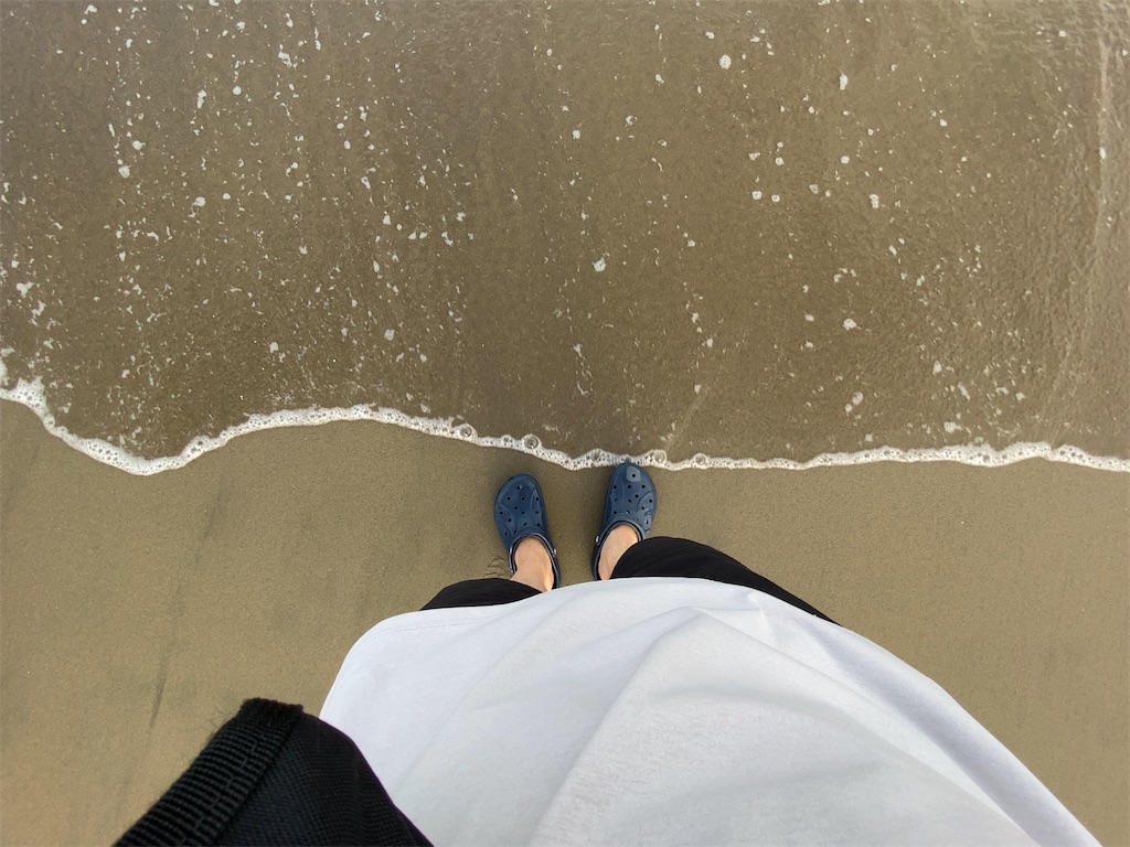 f:id:dorifuto-naoki:20241120233432j:image f:id:dorifuto-naoki:20241120233432j:image