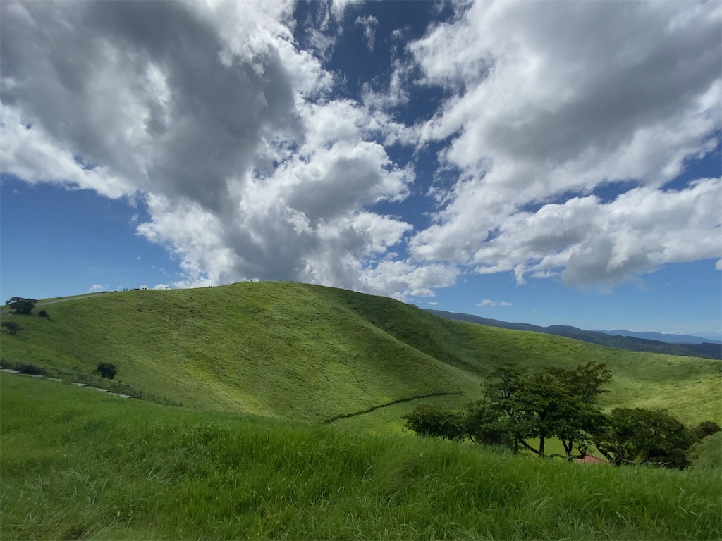 f:id:dorifuto-naoki:20241120233446j:image f:id:dorifuto-naoki:20241120233446j:image