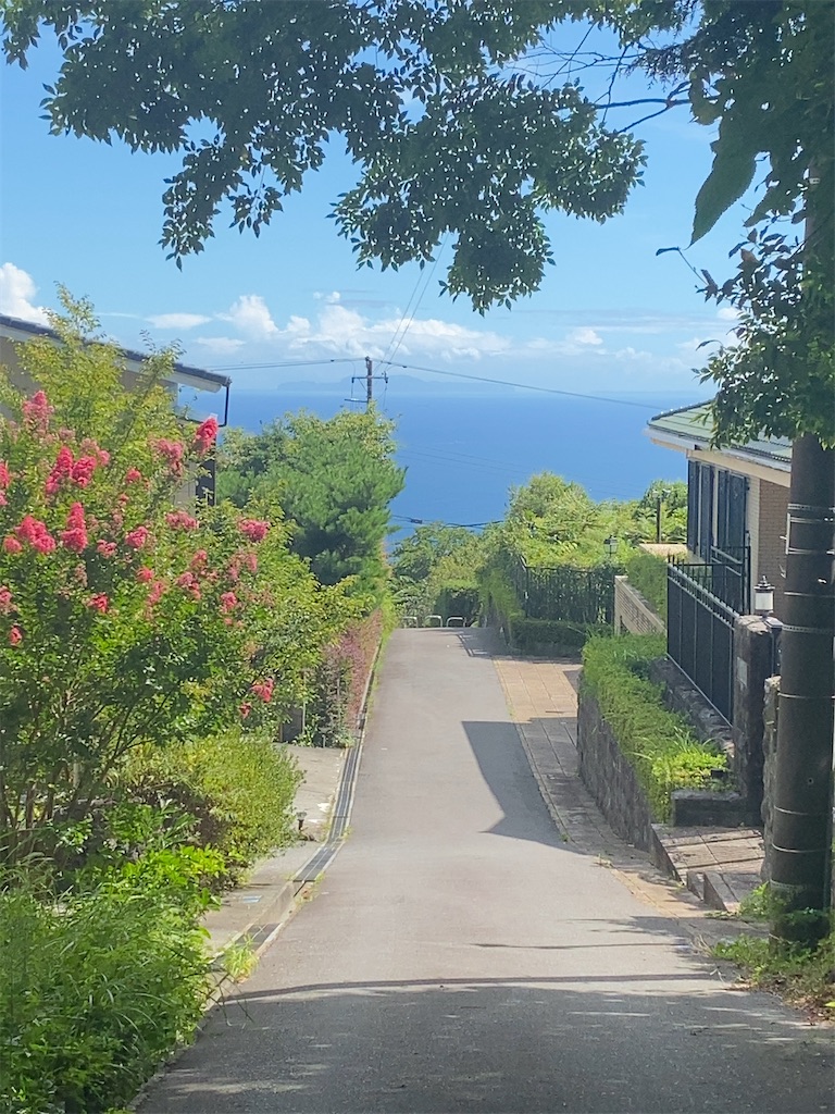 f:id:dorifuto-naoki:20241120233449j:image f:id:dorifuto-naoki:20241120233449j:image