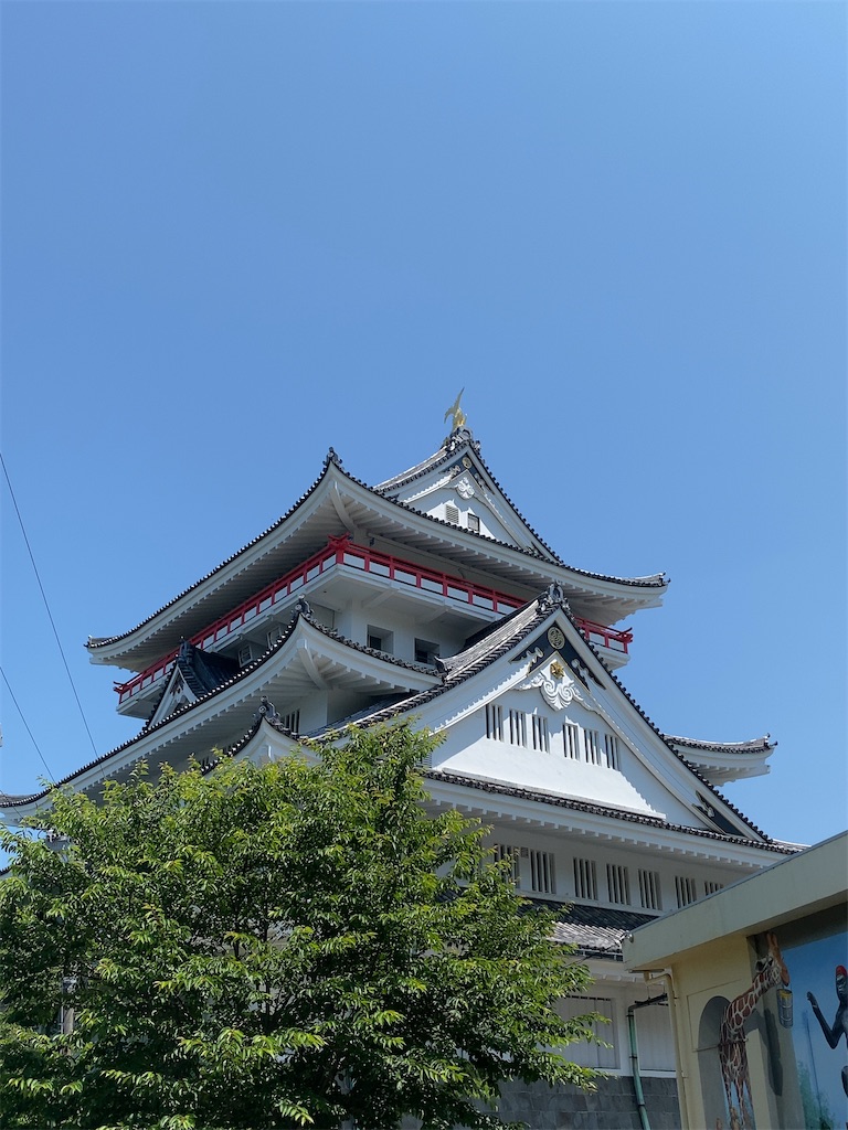 f:id:dorifuto-naoki:20241120233532j:image f:id:dorifuto-naoki:20241120233532j:image