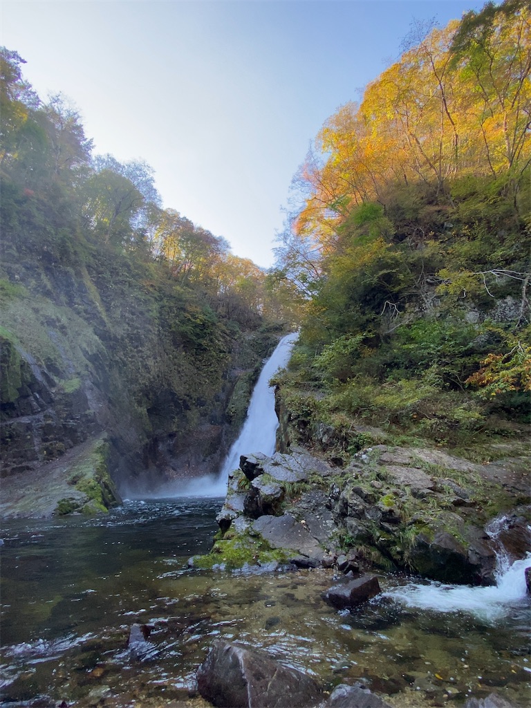 f:id:dorifuto-naoki:20241120233756j:image f:id:dorifuto-naoki:20241120233756j:image