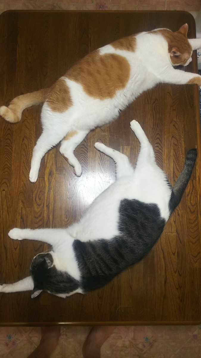 f:id:dorineko5:20200728143310j:plain