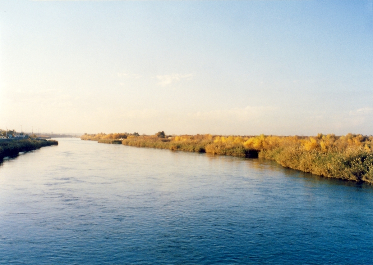 f:id:doromechan:20210721233025j:plain