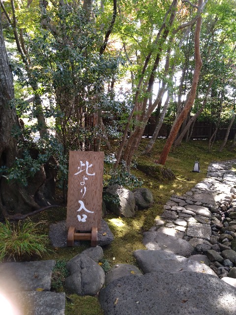 f:id:doronkotanuki:20231202071721j:image
