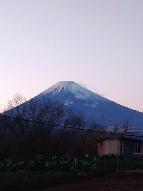f:id:doronkotanuki:20231217183121j:image