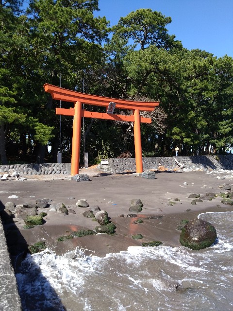 f:id:doronkotanuki:20240430115822j:image