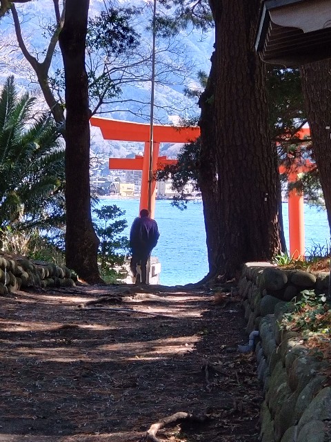f:id:doronkotanuki:20240430115901j:image