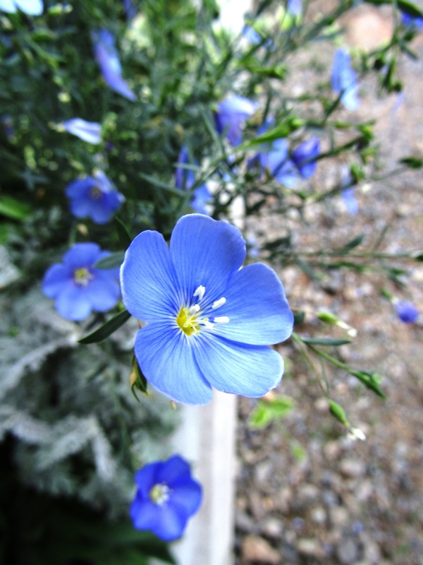 f:id:doronkox:20190804233852j:plain f:id:doronkox:20190804233852j:plain