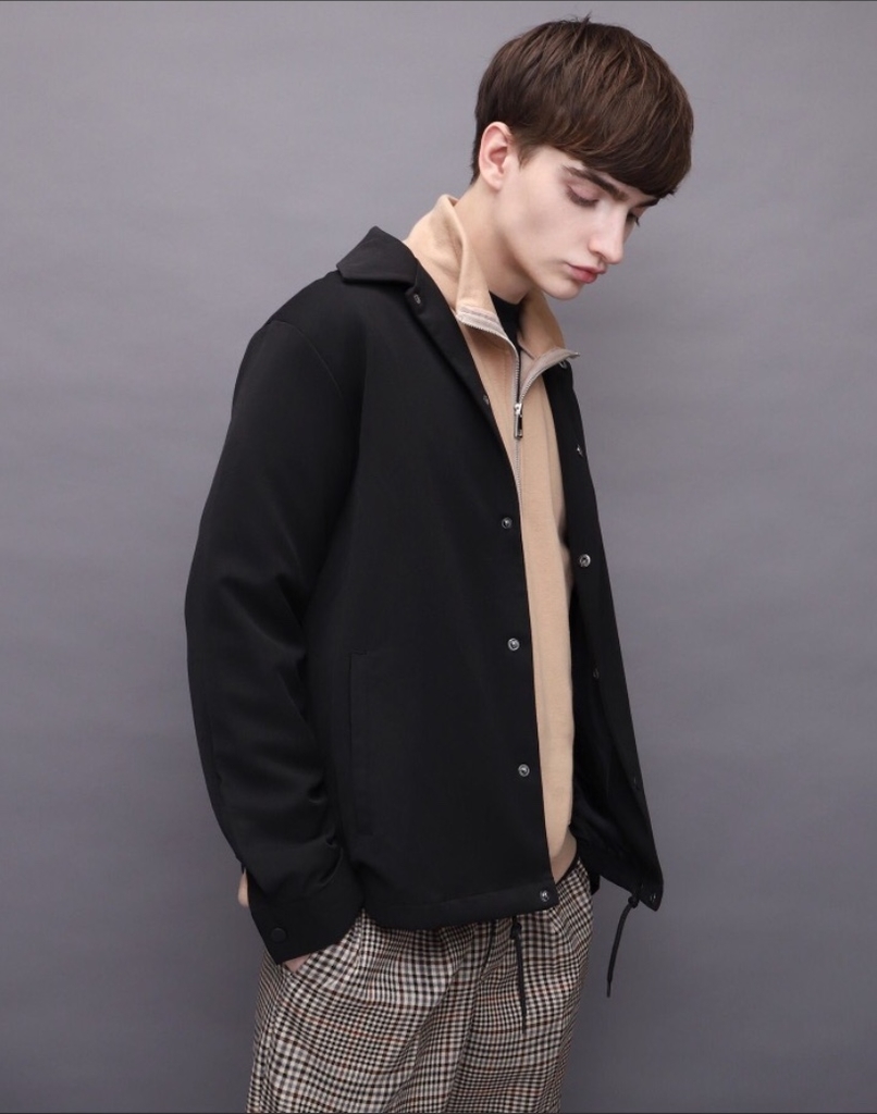 f:id:doroshikwill:20190117221836j:plain f:id:doroshikwill:20190117221836j:plain