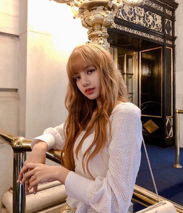 f:id:doroshikwill:20190127202614j:plain f:id:doroshikwill:20190127202614j:plain