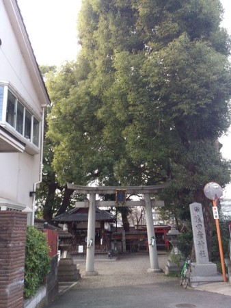 f:id:doroyamada:20130103153553j:image f:id:doroyamada:20130103153553j:image