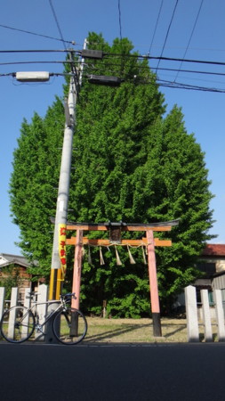 f:id:doroyamada:20140503162052j:image f:id:doroyamada:20140503162052j:image