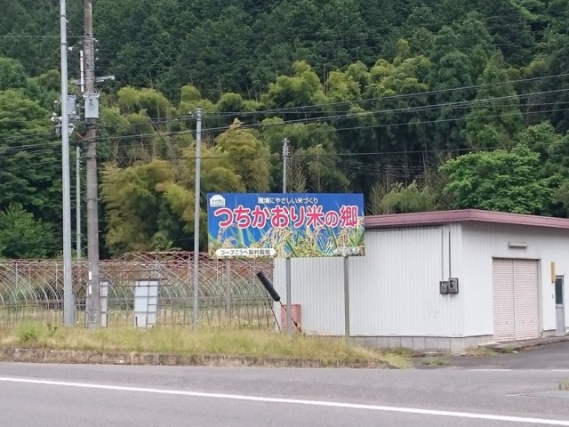 f:id:doroyamada:20160605215057j:image