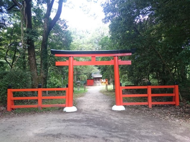 f:id:doroyamada:20170101195315j:image f:id:doroyamada:20170101195315j:image