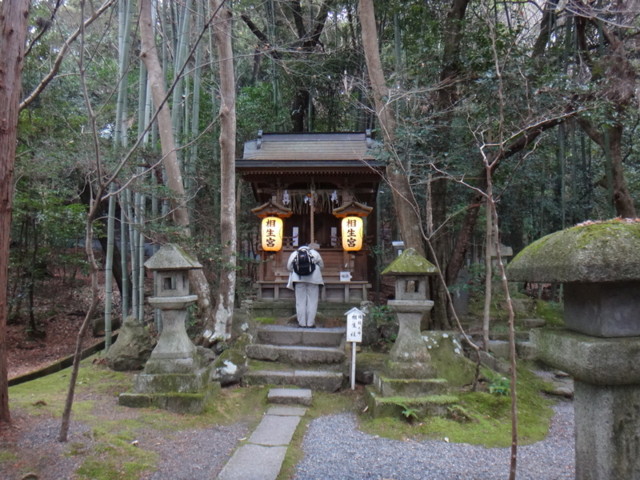 f:id:doroyamada:20170124211748j:image f:id:doroyamada:20170124211748j:image