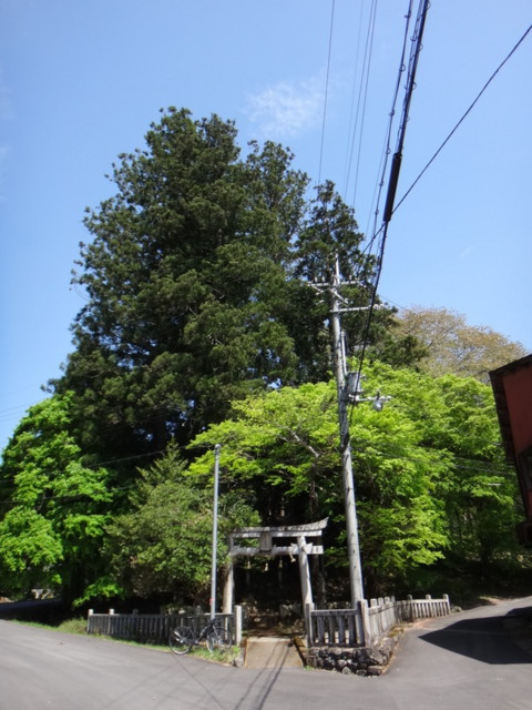 f:id:doroyamada:20170512232356j:image f:id:doroyamada:20170512232356j:image