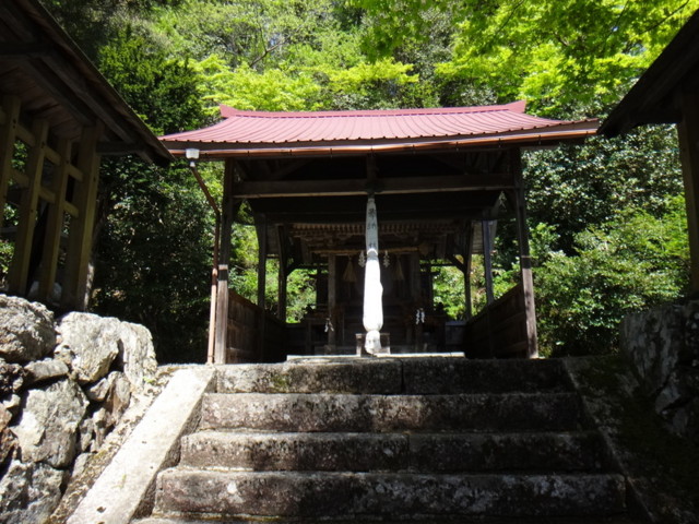 f:id:doroyamada:20170512233351j:image f:id:doroyamada:20170512233351j:image