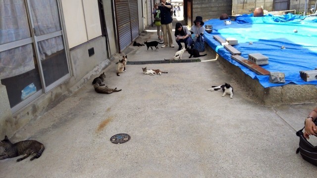 f:id:doroyamada:20170704222244j:image f:id:doroyamada:20170704222244j:image