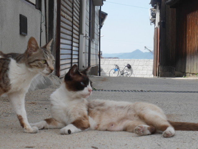 f:id:doroyamada:20170704230824j:image f:id:doroyamada:20170704230824j:image